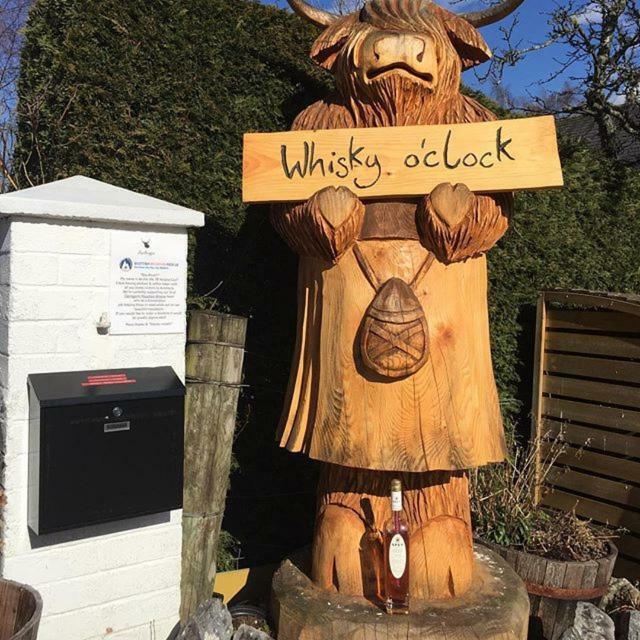 Guest house Ardlogie