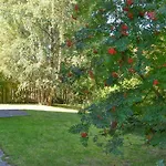 Birchlands