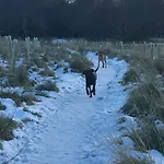 Aviemore Highlands No82