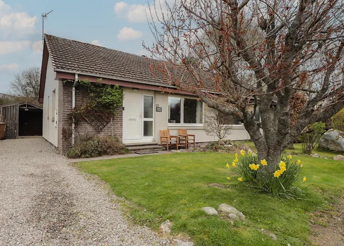 Steam Cottage