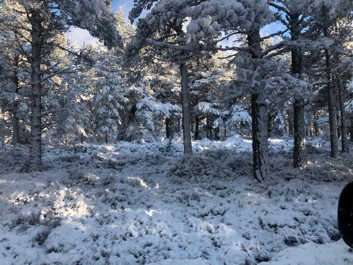 Linmore Aviemore