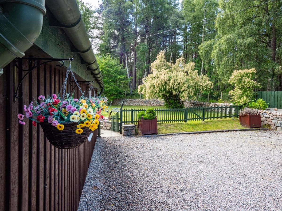 Coylumbridge * Aviemore
