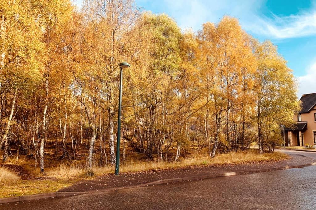 Cairngorm Holiday home