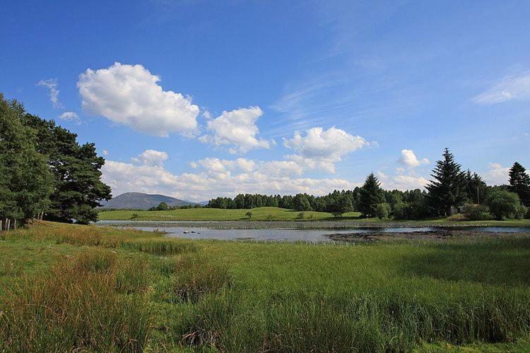 Rowan Aviemore