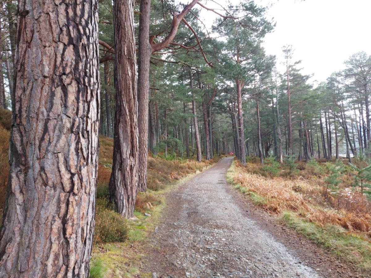 Holiday home House Kinveachy *