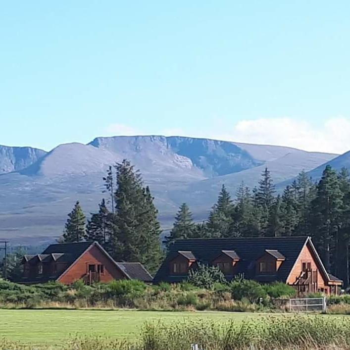Campsite Badaguish Forest And Pods Aviemore
