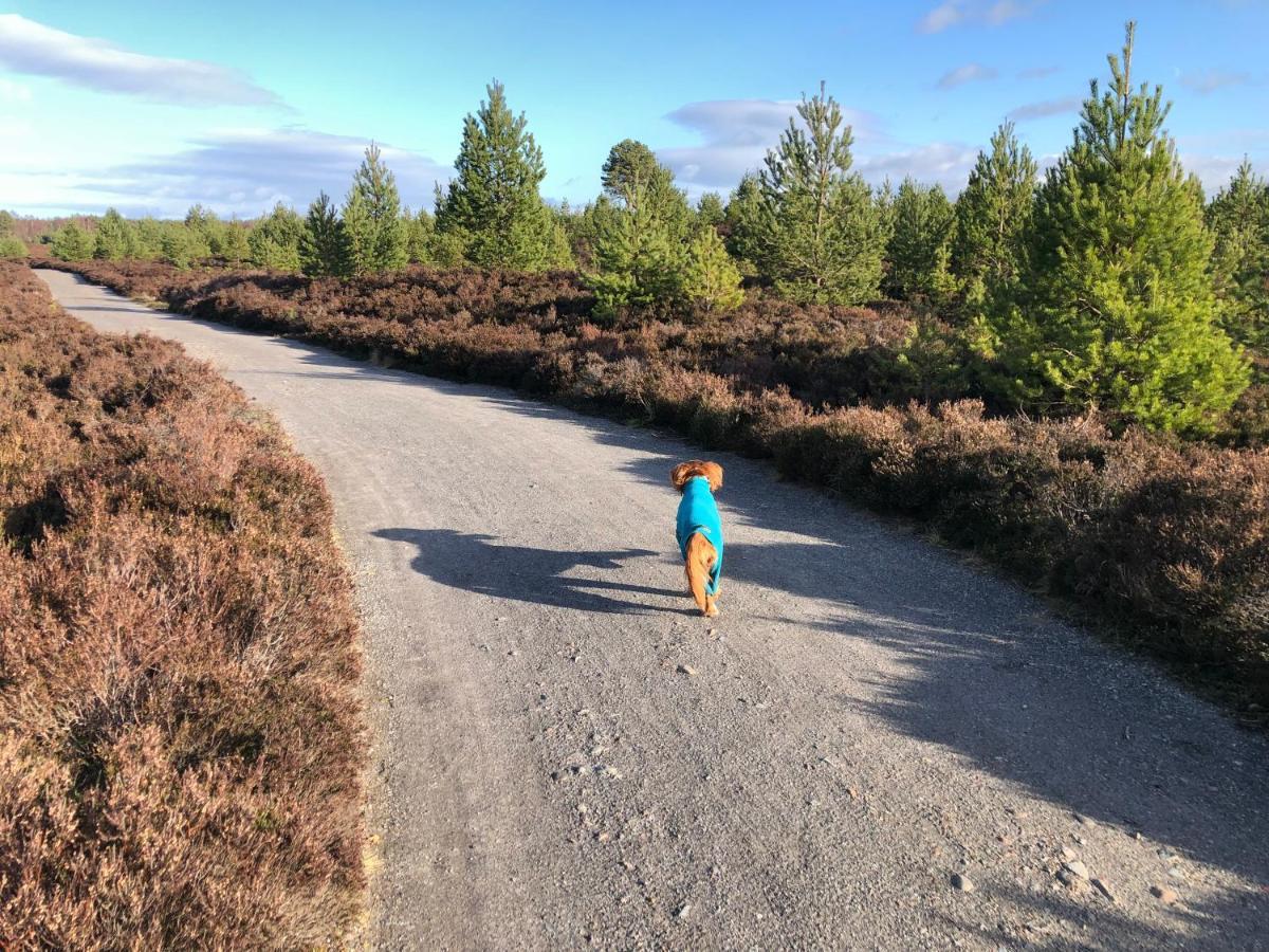 Stelvio Aviemore