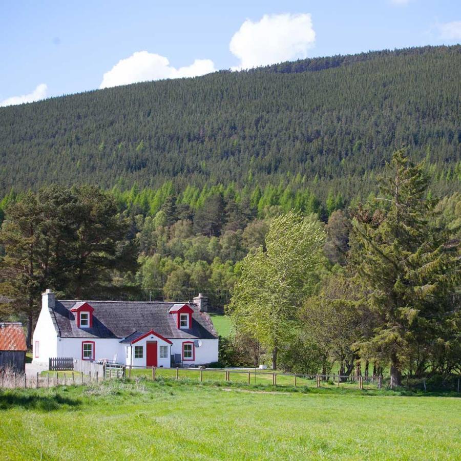 The Croft - Near *