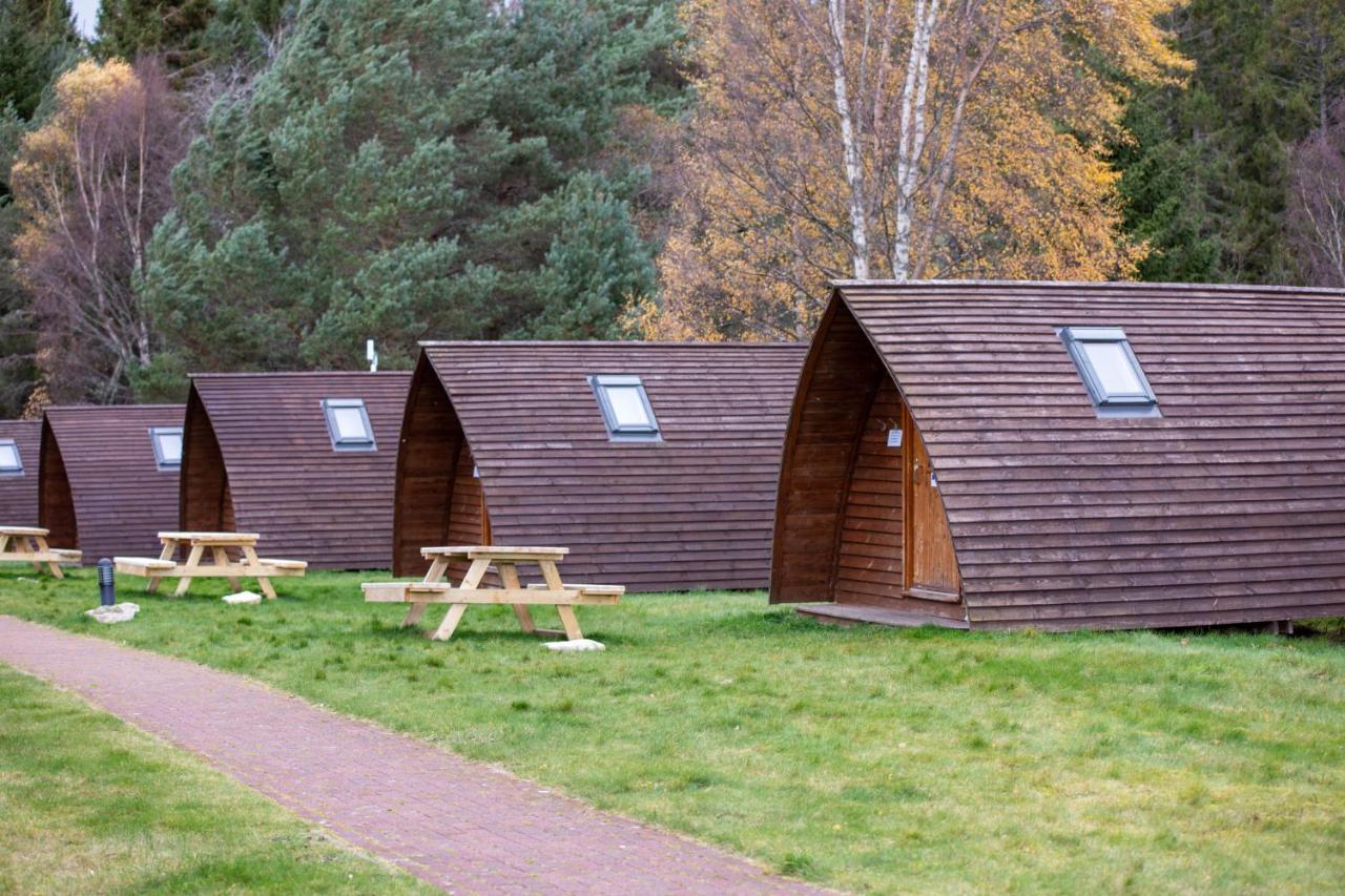 Campsite Badaguish Forest And Pods