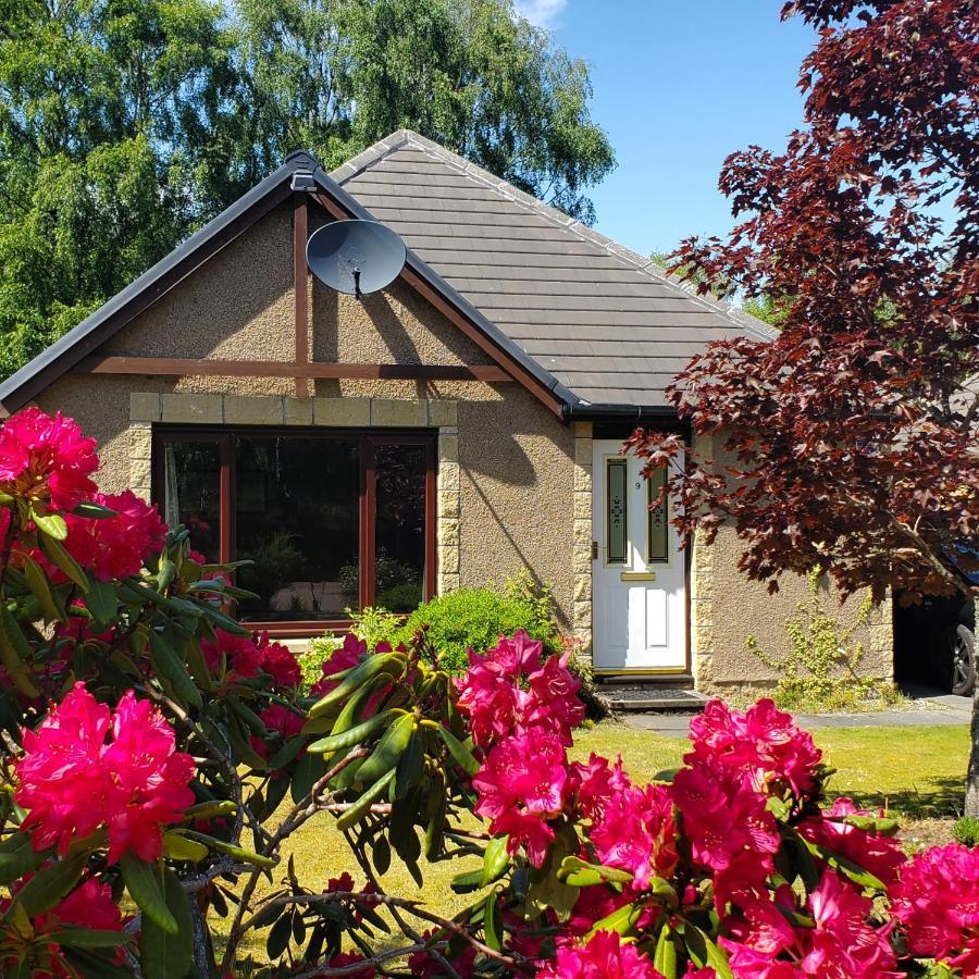 Bungalow, Dalfaber Holiday home