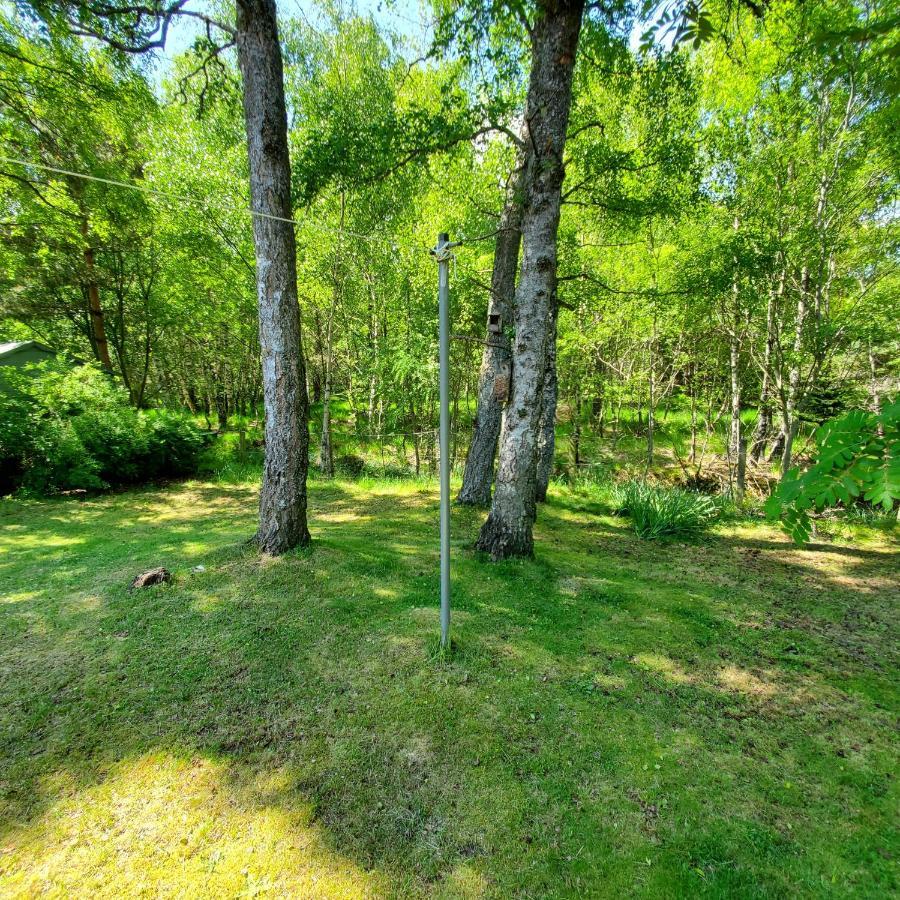 Bungalow, Dalfaber Holiday home