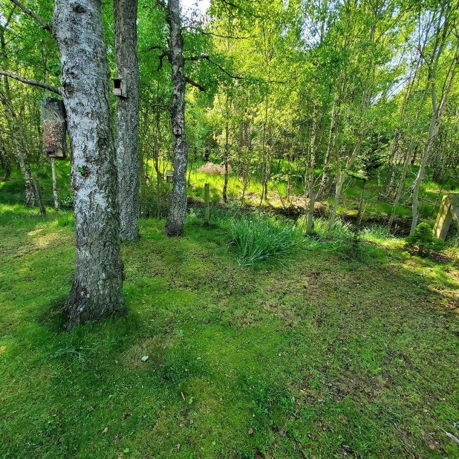 Holiday home Bungalow, Dalfaber Aviemore