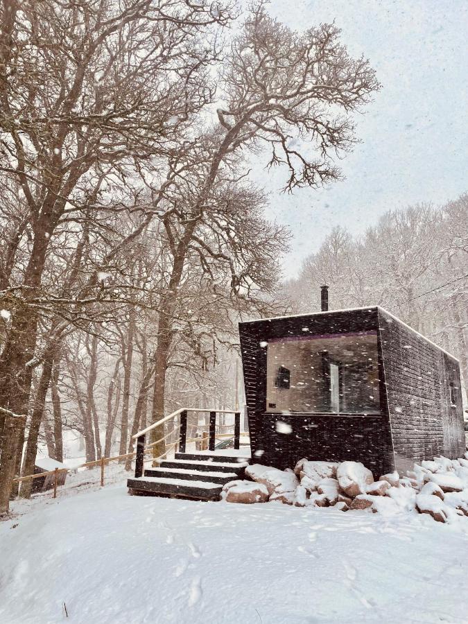 Holiday home The Roost Aviemore