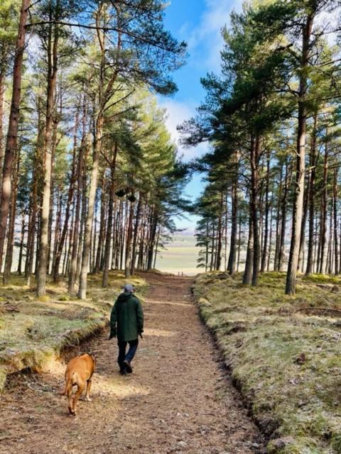 Holiday home The Roost Aviemore