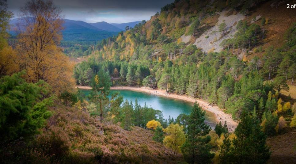 The Roost Holiday home Aviemore