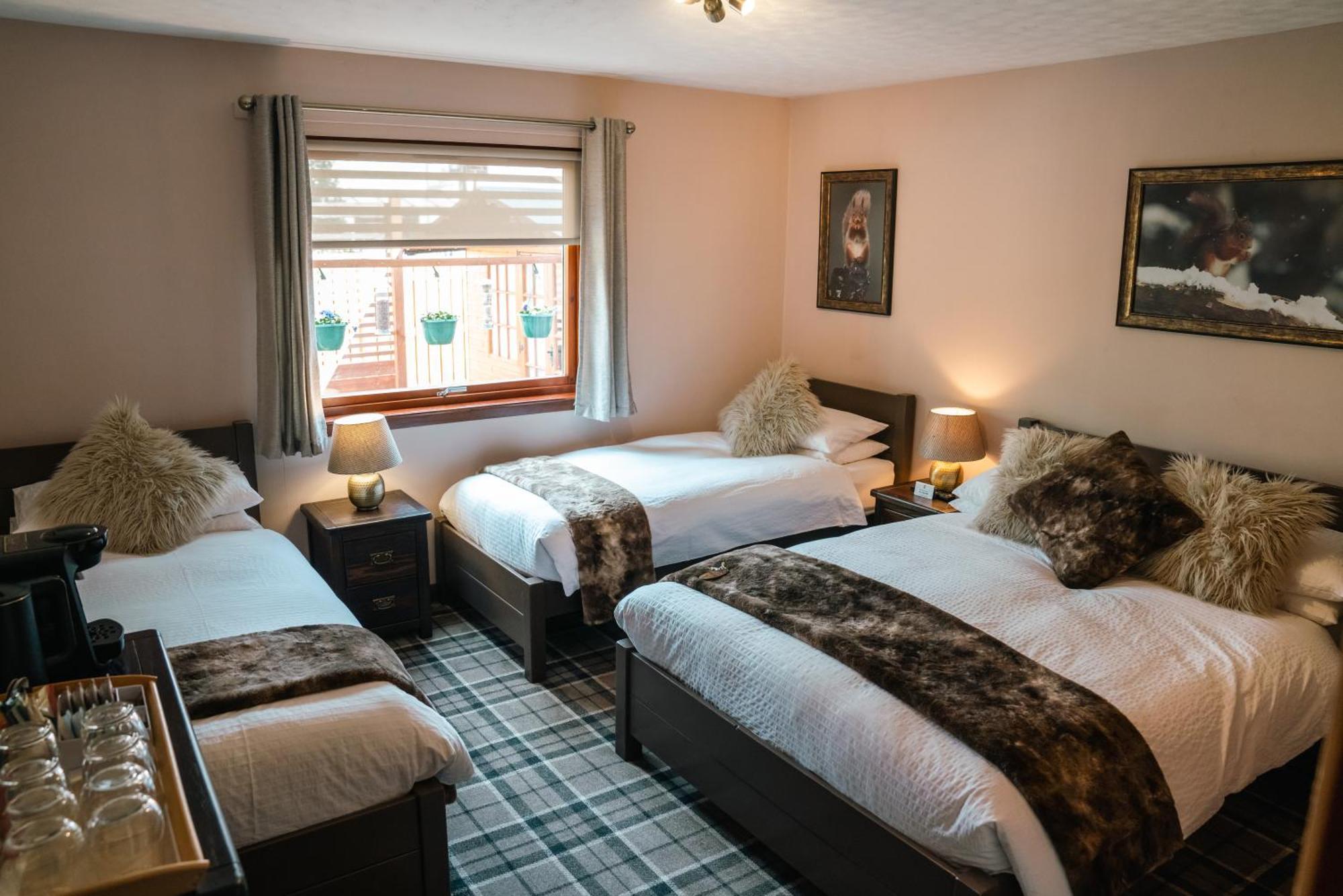 Eriskay And Glamping Bed & Breakfast Aviemore