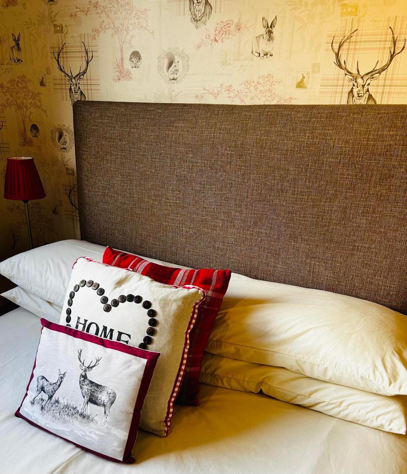 Bed & Breakfast Dunroamin Aviemore