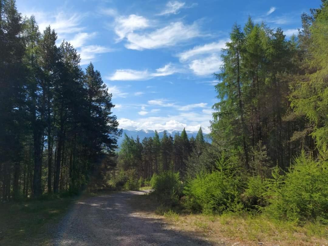 House Kinveachy Holiday home Aviemore