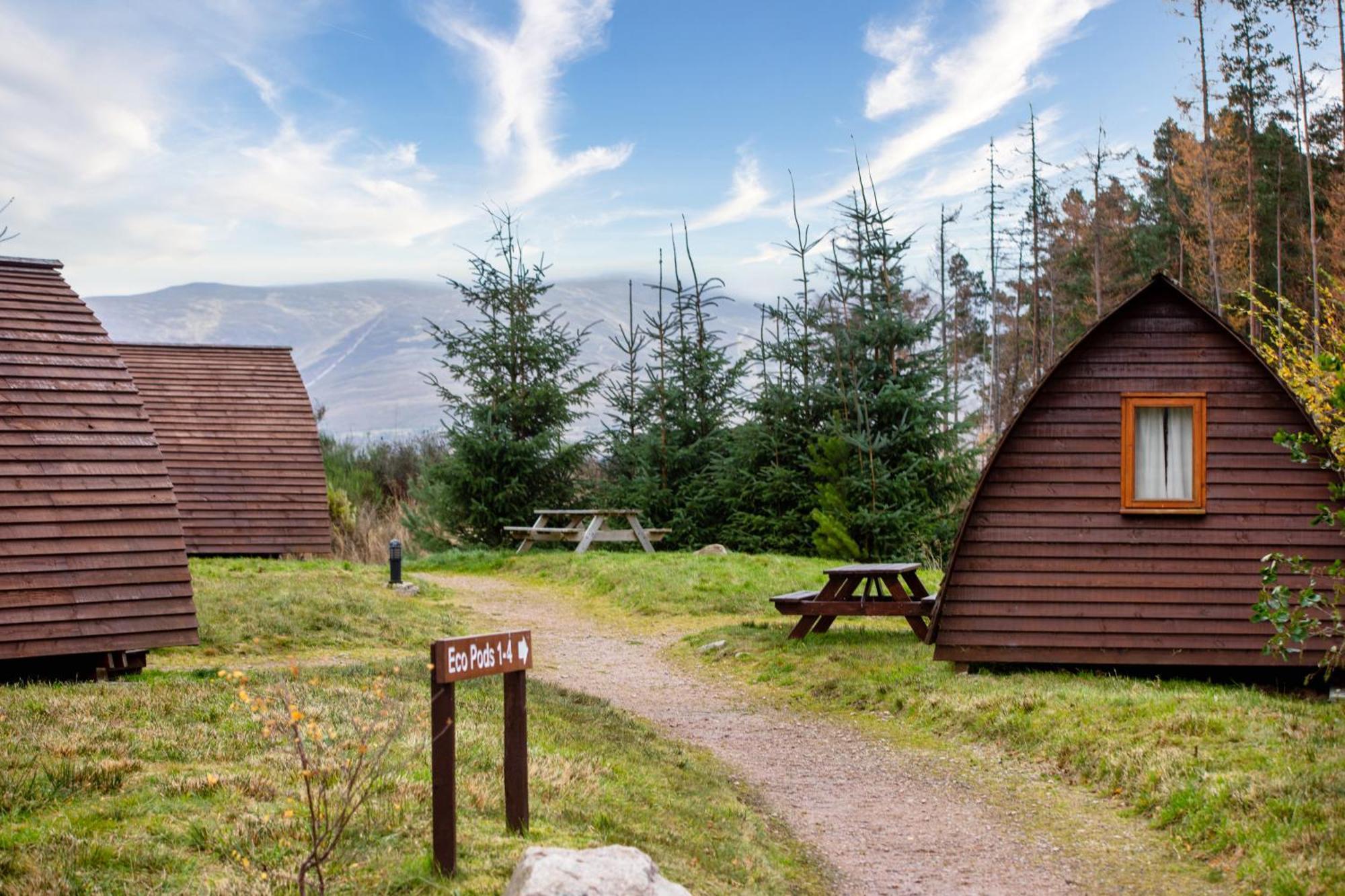Badaguish Forest And Pods Campsite Aviemore