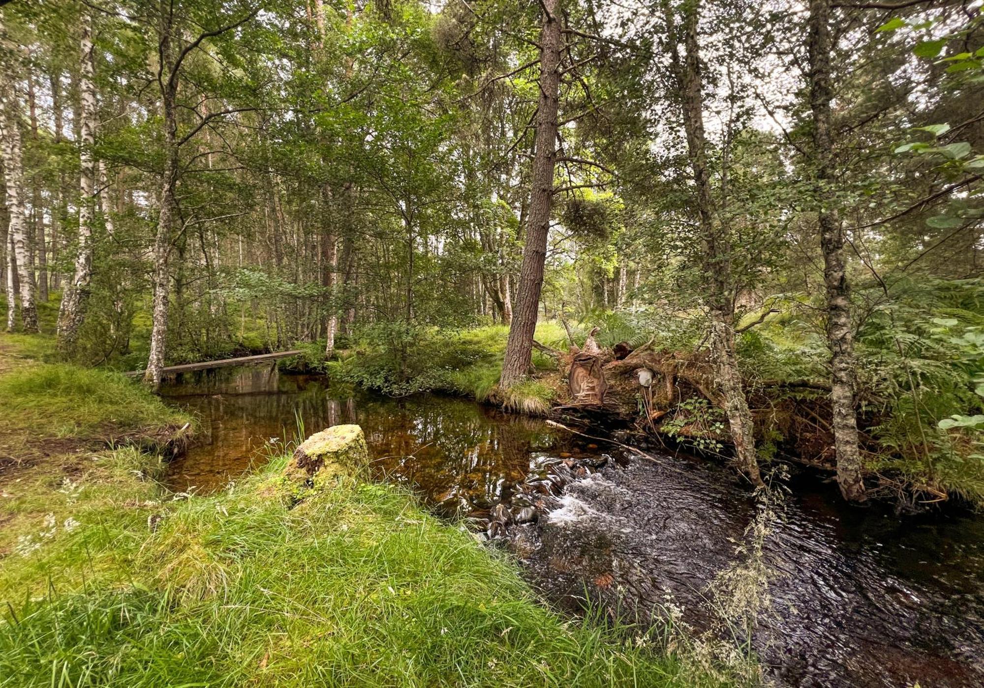 Holiday home Cairngorm Rothiemurchus *