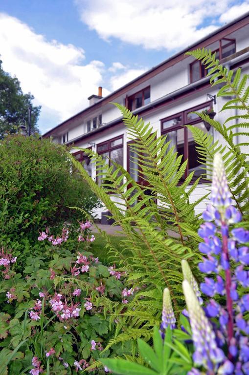 Guest house Ardlogie 3*