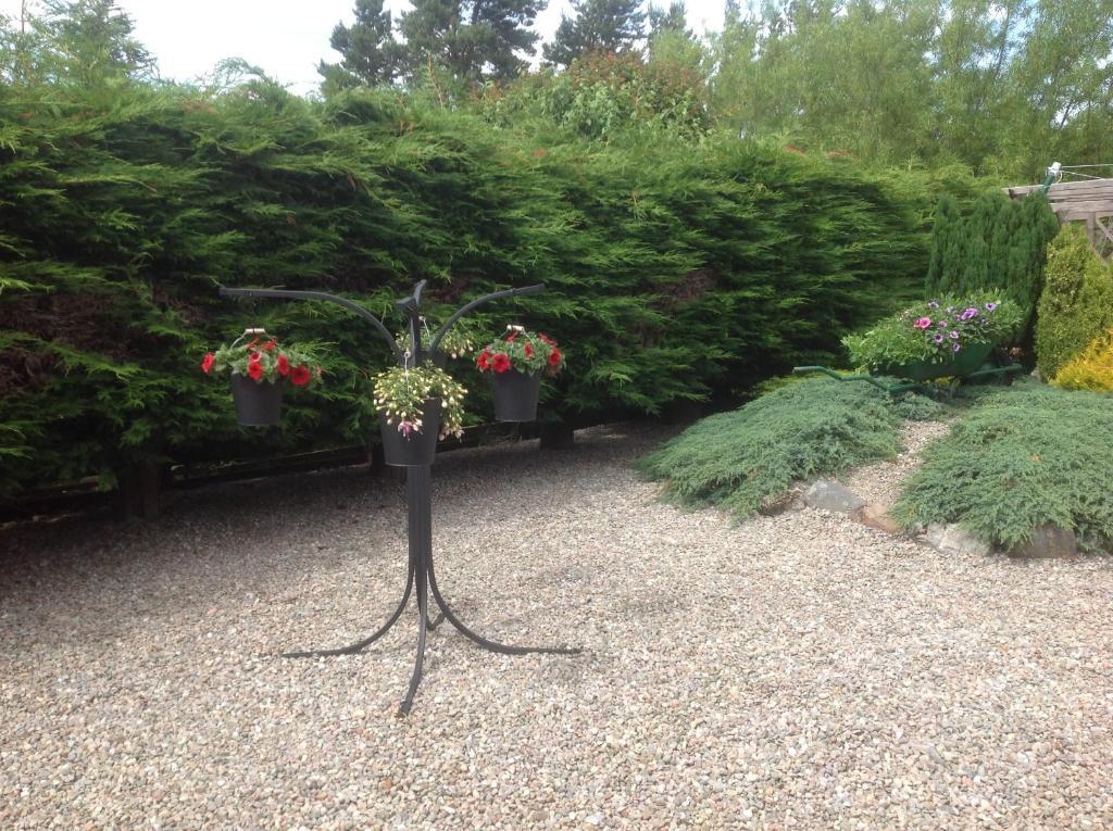 Dunroamin Bed & Breakfast Aviemore