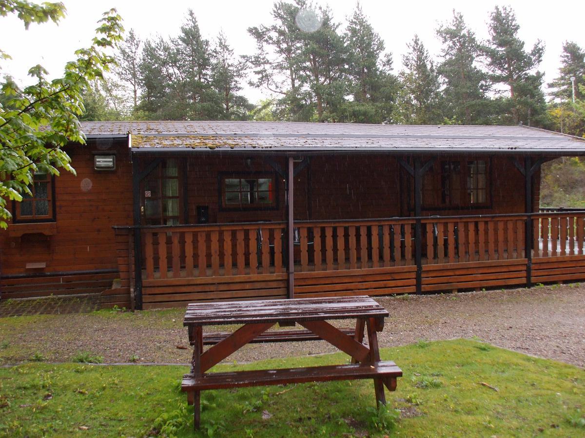 Chalet Lurchers