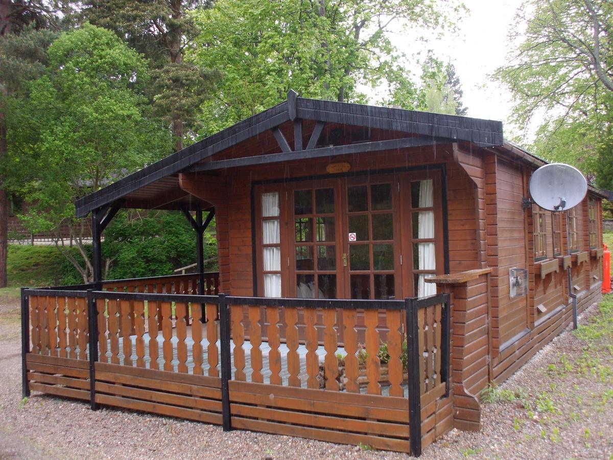 Chalet Lurchers Aviemore