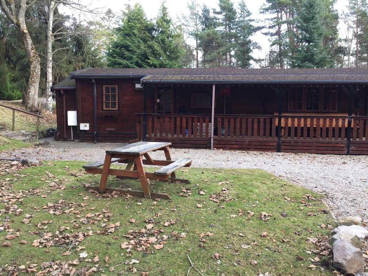 Chalet Lurchers *