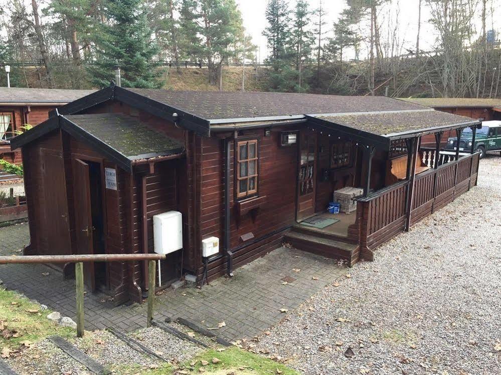Chalet Lurchers *