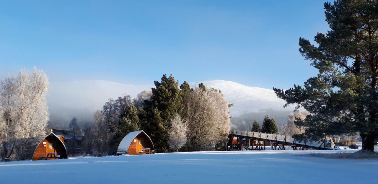 Badaguish Forest And Pods Campsite Aviemore