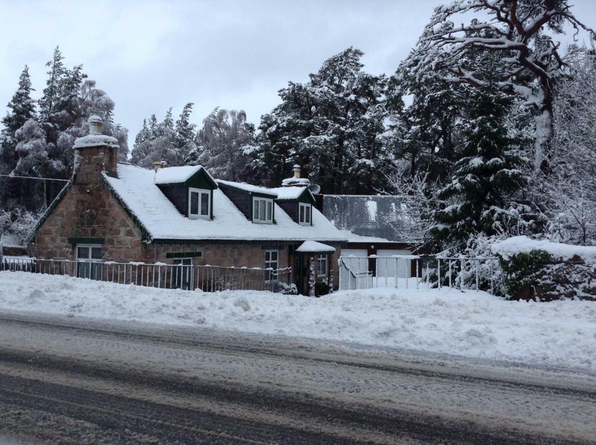 Coylumbridge Holiday home