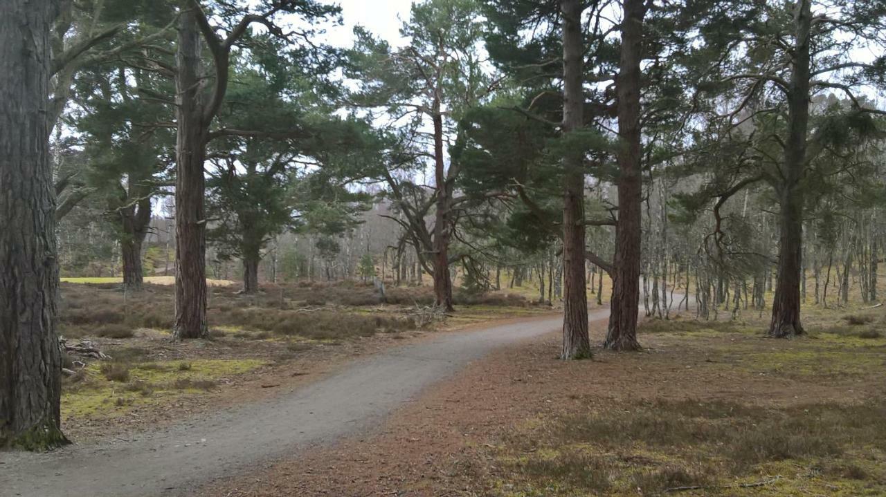 House Kinveachy Aviemore