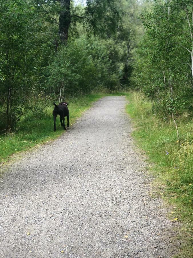 Linmore * Aviemore