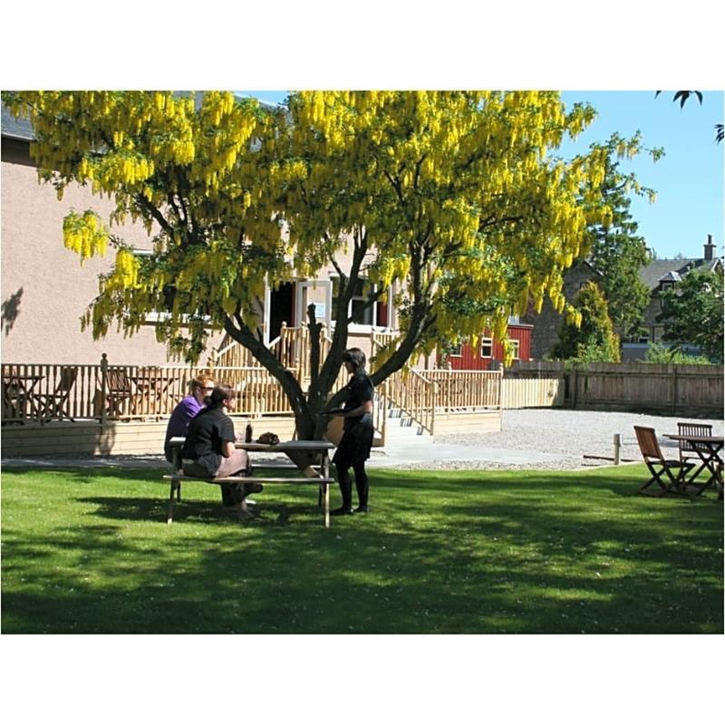 Guest house The Park