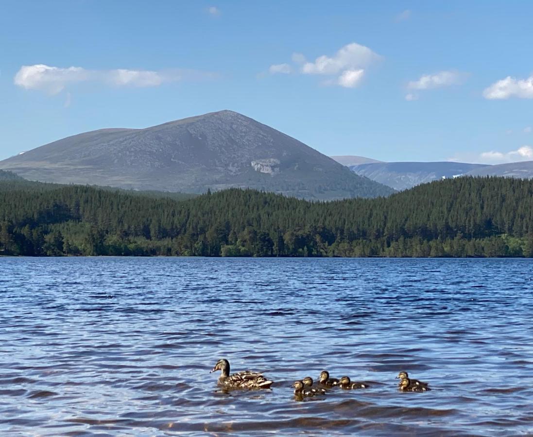 Ravenscraig Guest house Aviemore