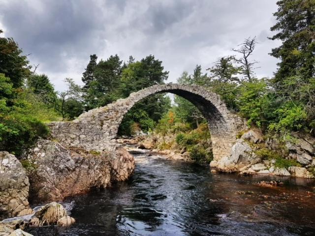Stag's Hide *
