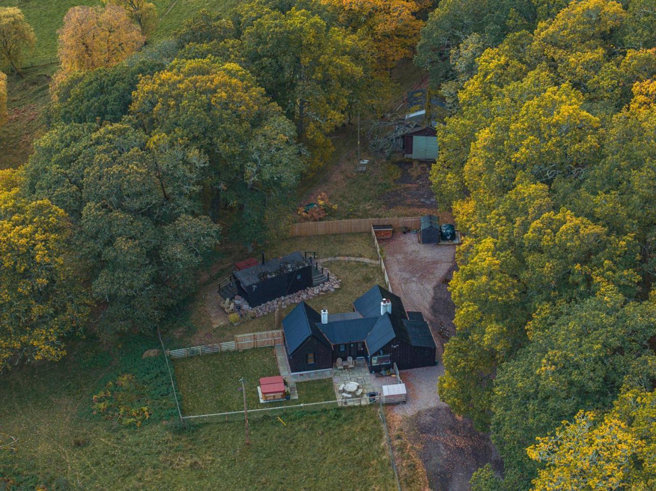 Stag's Hide *