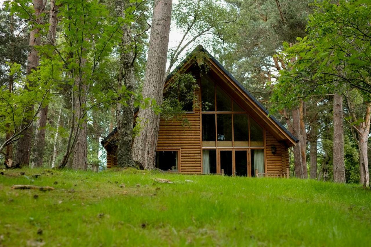 Macdonald Woodland At Macdonald Lodge Aviemore